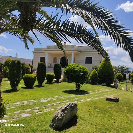 Luxury Villa Thea Volos Exteriör bild