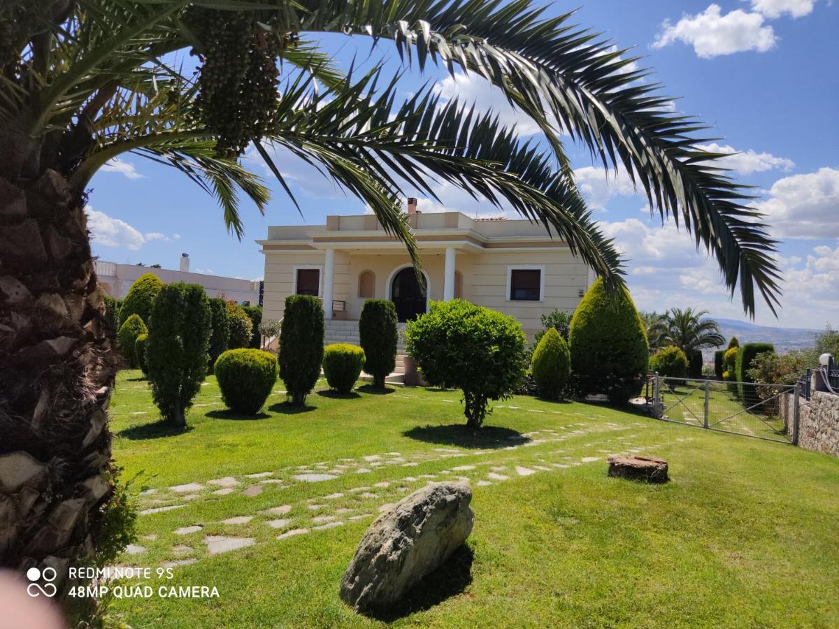Luxury Villa Thea Volos Exteriör bild