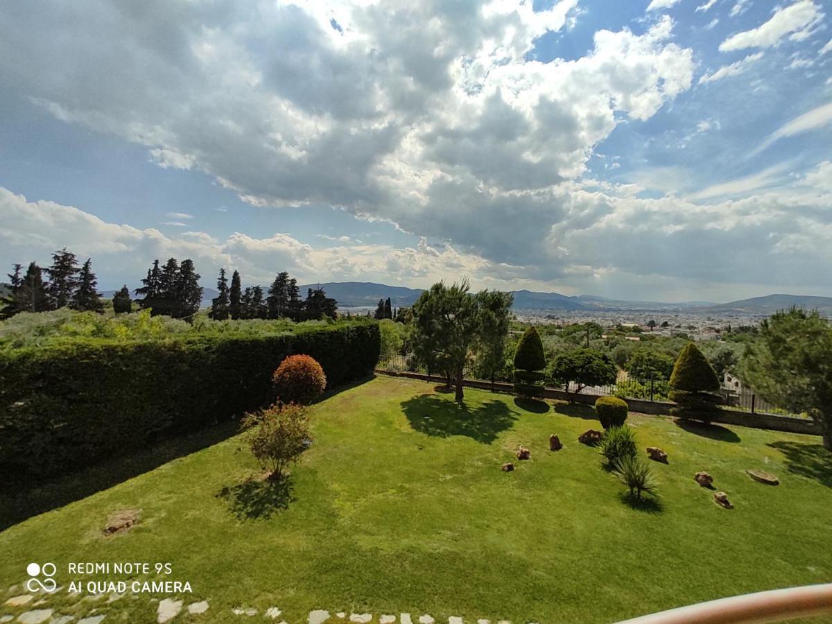 Luxury Villa Thea Volos Exteriör bild