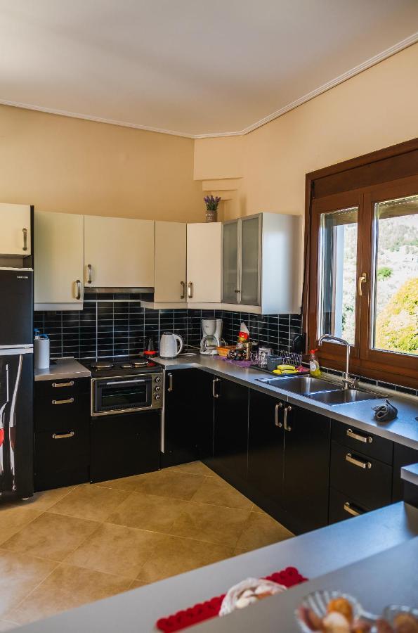 Luxury Villa Thea Volos Exteriör bild